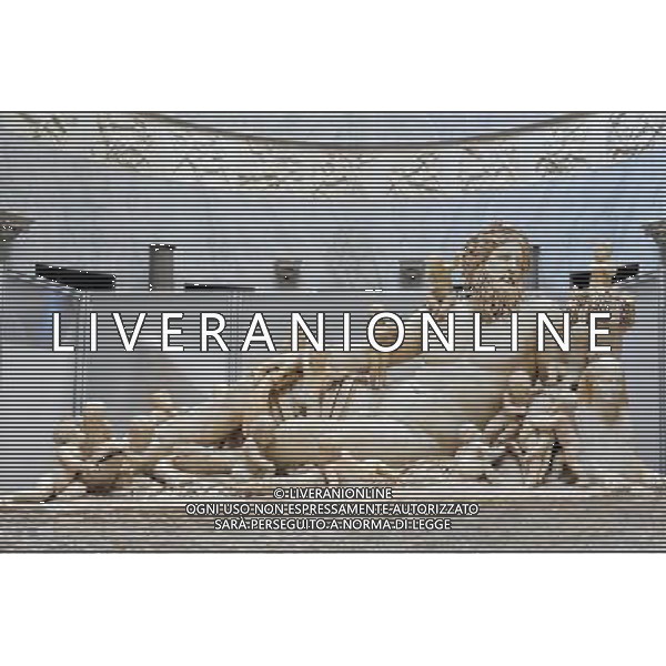 Artwork at the Vatican Museums. Photo by NEWSCOM OUT AG ALDO LIVERANI S A S