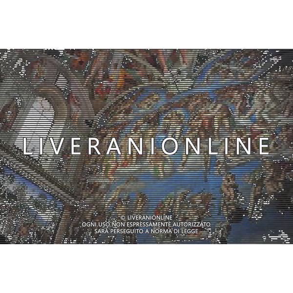 Artwork at the Vatican Museums. The Sistine Chapel ceiling of Michelangelo. Photo by NEWSCOM OUT AG ALDO LIVERANI S A S