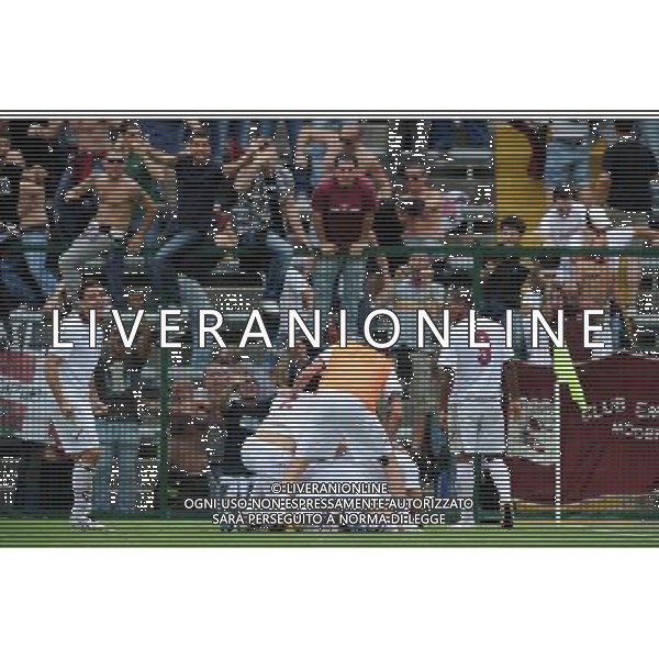 Campionato Lega PRO 1Á Divisione girone A Playoff - Semifinale di ritorno Alessandria 5-06-2011 Alessandria - Salernitana nella foto: esultanza Salernitana dopo gol foto Garavaglia - ag. Aldo Liverani sas