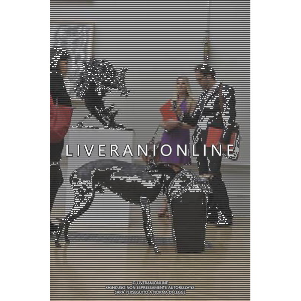 The Royal Academy of Arts\'s annual Summer Exhibition is the largest open submission contemporary art show in the world. The exhibition runs from the 7th of June till August 15th. Picture Shows: Dog In A Bin by Simon Brundret Anticipazione per la stampa per la mostra Royal Academy of Arts Summer Exhibition AG. ALDO LIVERANI SAS ITALY ONLY *** Local Caption *** .
