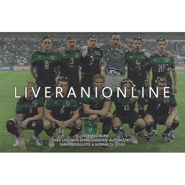 Amichevole Internazionale Liegi (Belgio) - 07.06.2011 Italia-Repubblica d\'Irlanda Nella Foto:Repubblica d\'Irlanda squadra formazione /Ph.Vitez-Ag. Aldo Liverani