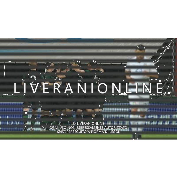 Amichevole Internazionale Liegi (Belgio) - 07.06.2011 Italia-Repubblica d\'Irlanda Nella Foto:esultanza dei giocatori irlandesi /Ph.Vitez-Ag. Aldo Liverani