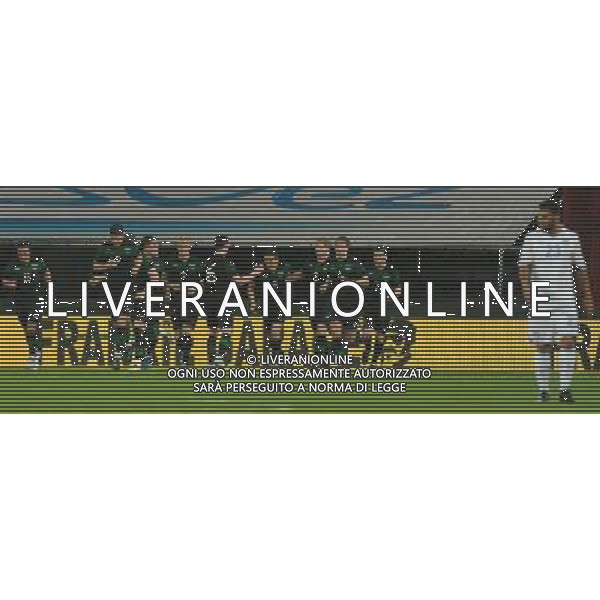 Amichevole Internazionale Liegi (Belgio) - 07.06.2011 Italia-Repubblica d\'Irlanda Nella Foto:esultanza dei giocatori irlandesi /Ph.Vitez-Ag. Aldo Liverani