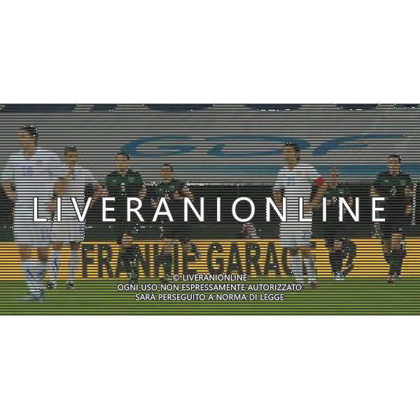 Amichevole Internazionale Liegi (Belgio) - 07.06.2011 Italia-Repubblica d\'Irlanda Nella Foto:esultanza dei giocatori irlandesi /Ph.Vitez-Ag. Aldo Liverani