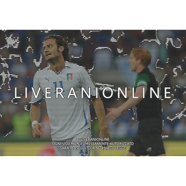 Amichevole Internazionale Liegi (Belgio) - 07.06.2011 Italia-Repubblica d\'Irlanda Nella Foto:gilardino alberto /Ph.Vitez-Ag. Aldo Liverani