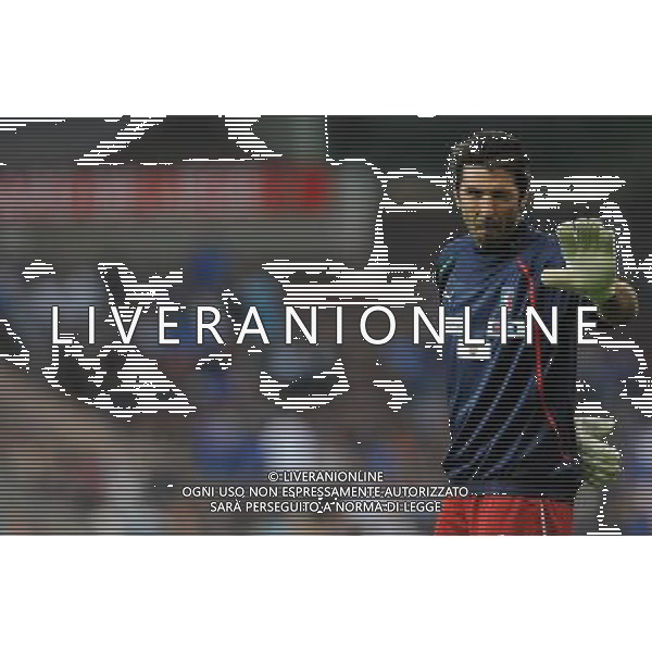 Amichevole Internazionale Liegi (Belgio) - 07.06.2011 Italia-Repubblica d\'Irlanda Nella Foto:Gianluigi Buffon /Ph.Vitez-Ag. Aldo Liverani