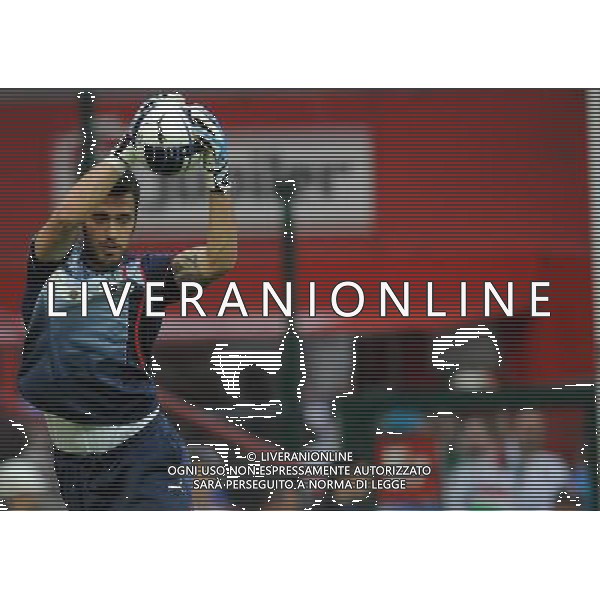 Amichevole Internazionale Liegi (Belgio) - 07.06.2011 Italia-Repubblica d\'Irlanda Nella Foto:Emiliano Viviano /Ph.Vitez-Ag. Aldo Liverani