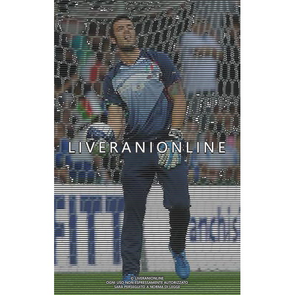 Amichevole Internazionale Liegi (Belgio) - 07.06.2011 Italia-Repubblica d\'Irlanda Nella Foto:Emiliano Viviano /Ph.Vitez-Ag. Aldo Liverani