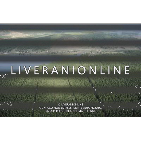 HAILAR, June 9, 2011 Photo taken on June 9, 2011 shows a bird\'s eye view of the forests in Hulun Buir, north China\'s Inner Mongolia Autonomous Region. (/Zhang Ling) (zhs) AG. ALDO LIVERANI SAS - ITALY ONLY *** Local Caption *** .