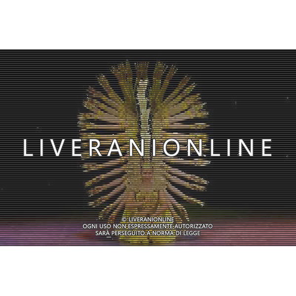 (110611) -- BUDAPEST, June 11, 2011 () -- Artists from Chinese Art Ensemble of the Handicapped perform dancing \'Thousand-Hand Buddha\' in Budapest, Hungary, June 10, 2011. The dancing \'Thousand-Hand Buddha\' was part of the performance called \'My Dream\' presented by the Chinese Art Ensemble of the Handicapped in Budapest. (/Attila Volgyi) ©photoshot/Agenzia Aldo Liverani Sas - ITALY ONLY - Artisti cinesi si esibiscono nella danza \'My Dream \' a Budapest, Ungheria 10 giugno 2011.