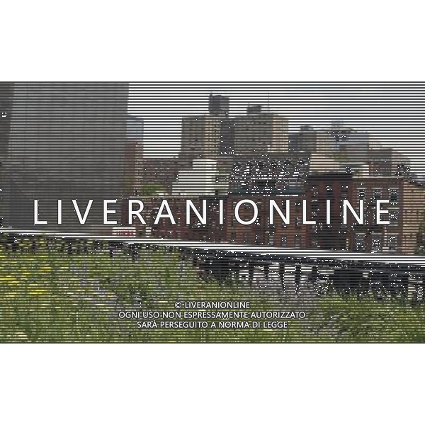 Views of the second section of The Highline that recently opened on June 10, 2011 in New York. NY. /PHOTOSHOT/AG ALDO LIVERANI SAS - ITALY ONLY - *** Local Caption *** .