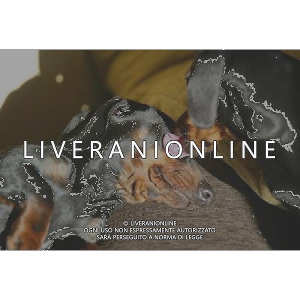 NELLA FOTO I BASSOTTI DI PROPIETA\' FAMIGLIA-LIVERANI AGENZIA ALDO LIVERANI