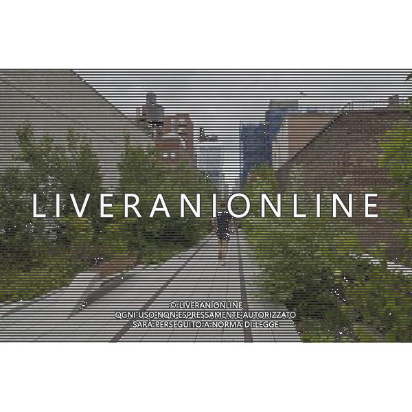 NEW YORK - Phase Two of The High Line opened on June 7, 2011. ©photoshot/Agenzia Aldo Liverani Sas - ITALY ONLY - Inaugurata la seconda sezione di High Line, il parco pubblico sopraelevato di New York City, il percorso pedonale a nove metri di altezza che duplica la sua lunghezza: 1,6 chilometri