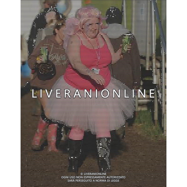 Picture Shows: Festival goer in the VIP area at Glastonbury 2011. Thursday June 23, 2011.