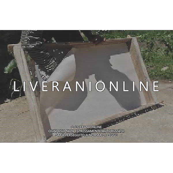 NYINMO, June 23, 2011 Gesang Dianzin peels off a piece of paper after it is dried up in the sunshine during the process of making Nyinmo paper in Nyinmo, southwest China\'s Tibet Autonomous Region, June 22, 2011. The time honored Nyinmo paper is one of the three types of Tibetan traditional handmade paper. The paper is made from a kind of grass root. The grass root is poisonous, so paper made from it will not corrode or be eaten by insects, and it can keep intact for long. Nyinmo paper is widely used in printing documents and sutra in Tibet. Thanks to its durability, many ancient books are well preserved. (/Tao Xiyi) (hdt)