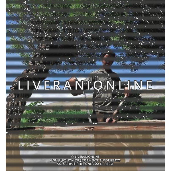 NYINMO, June 23, 2011 Gesang Dianzin makes Nyinmo paper in Nyinmo, southwest China\'s Tibet Autonomous Region, June 22, 2011. The time honored Nyinmo paper is one of the three types of Tibetan traditional handmade paper. The paper is made from a kind of grass root. The grass root is poisonous, so paper made from it will not corrode or be eaten by insects, and it can keep intact for long. Nyinmo paper is widely used in printing documents and sutra in Tibet. Thanks to its durability, many ancient books are well preserved. (/Tao Xiyi) (hdt)