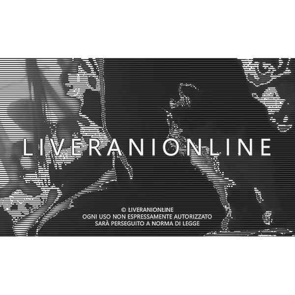 NYINMO, June 23, 2011 A cat looks at its master bundling Tibetan joss sticks in Toinba Village, Nyinmo of southwest China\'s Tibet Autonomous Region, June 22, 2011. Toinba is the birthplace of Tibetan joss sticks. Taking advantage of plentiful water resources and plants, people in the village product the renowned Nyinmo joss sticks. The start of producing Nyinmo joss sticks could date back some 1,300 years when the founder of Tibetan letters invented joss sticks for the purpose of medical treatment in Toinba. Since then, the custom of making joss sticks has been followed and inherited by villagers. In June, 2008, the procedure of making joss sticks was listed as the national intangible culture heritage. (/Tao Xiyi)(hdt)