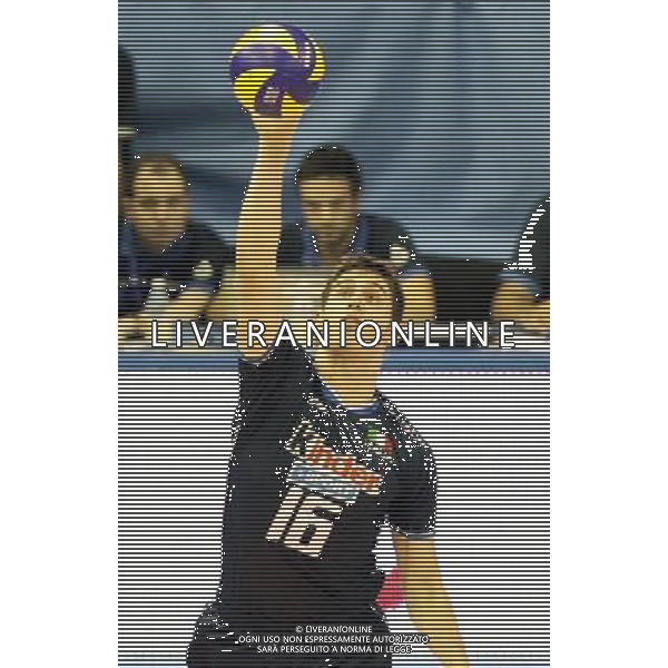 PARMA 29/06/2011 - ITALIA VS CUBA - VOLLEYBALL WORLD LEAGUE 2011 - NELLA FOTO: MICHELE BARANOWICZ - FOTO FRANCESCA SOLI / AGENZIA ALDO LIVERANI