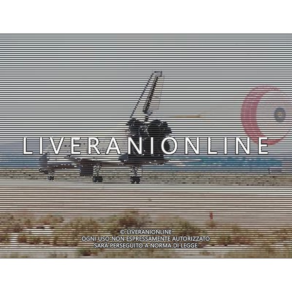 NELLA FOTO SHUTTLE AGENZIA ALDO LIVERANI IFC