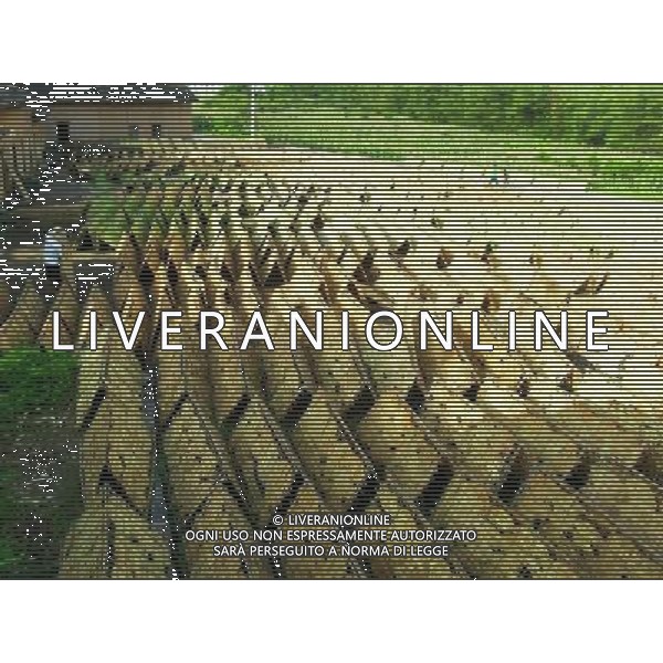 (110703) -- ZHAOPING, July 3, 2011 () -- Photo taken on July 2, 2011 shows frames for airing tobacco leaves in a field in Zhaoping County, south China\'s Guangxi Zhuang Autonomous Region, July 2, 2011. As the tobacco harvest season comes, farmers here take advantage of sunshiny weather to air tobacco leaves. (/Pan Xiaodong) (lfj)