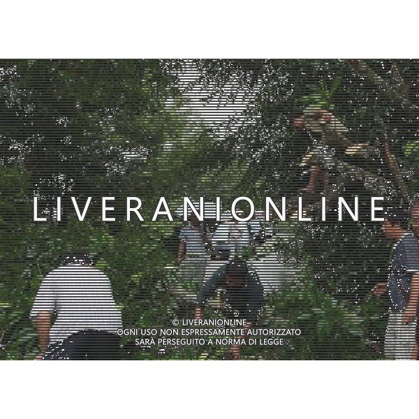 (110703) -- MENGLA, July 3, 2011 () -- People clear away a fallen tree on a road in Mengla County of Autonomous Prefecture of Xishuangbanna, southwest China\'s Yunnan Province, July 2, 2011. The lingering rainfalls here have caused several landslides and affected agricultural production. (/Li Yunsheng) (lfj)