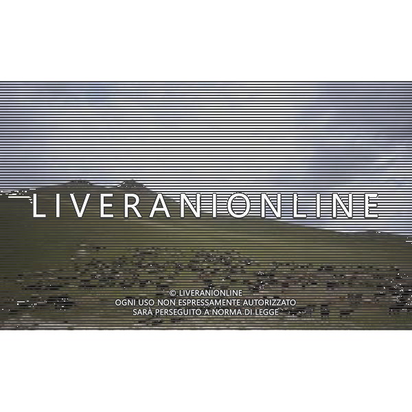 BISHKEK, July 1, 2011 Photo taken on June 30, 2011 shows the scenery of Naryn State, Kyrgyzstan. Kyrgyzstan, famous for its mountain and valley scenery with 90 percent of its territory more than 1,500 meters above sea level, is called \'Switzerland in central Asia\'. (/Sadat) (lr)