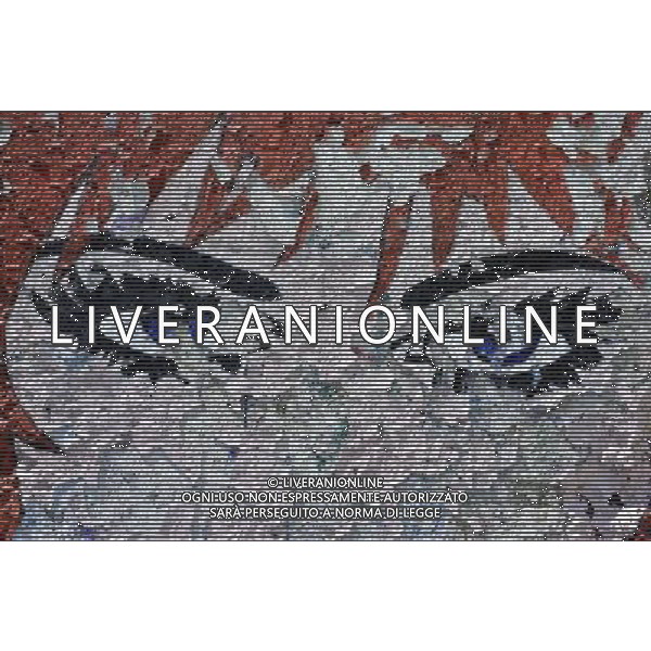 Piece of Berlin Wall Schengen, Luxembourg on 2011-07-04 - The Schengen Area comprises the territories of twenty-five European countries that have implemented the Schengen Agreement signed in the town of Schengen, Luxembourg, in 1985. The Schengen Area operates very much like a single state for international travel with border controls for those travelling in and out of the area, but with no internal border controls