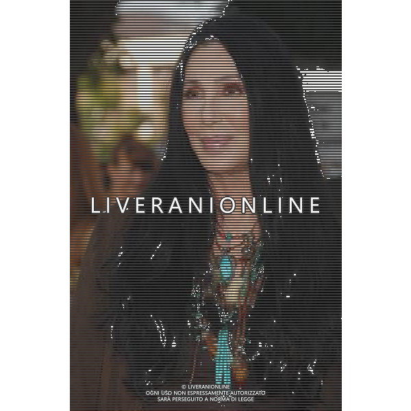 Cher \'Zookeeper\' Los Angeles Premiere at the Regency Village Theatre July 6, 2011 - Westwood, California