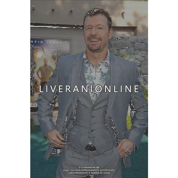 Donnie Wahlberg \'Zookeeper\' Los Angeles Premiere at the Regency Village Theatre July 6, 2011 - Westwood, California