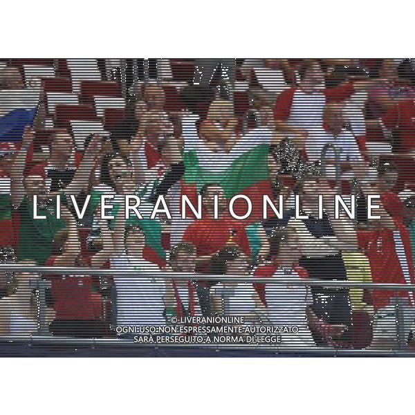 08.07.2011 GDANSK ERGO ARENA SIATKOWKA FINAL LIGI SWIATOWEJ 2011 LIGA SWIATOWA VOLLEYBALL WORLD LEAGUE FINALS 2011 WLOCHY - BULGARIA (ITALY - BULGARIA) N/Z POLACY RAZEM Z BULGARAMI KIBICUJA BULGARII FOT LUKASZ LASKOWSKI / PRESSFOCUS NEWSPIXPL --- Newspix.pl *** Local Caption *** www.newspix.pl mail us: info@newspix.pl call us: 0048 022 23 22 222 --- Polish Picture Agency by Ringier Axel Springer Poland