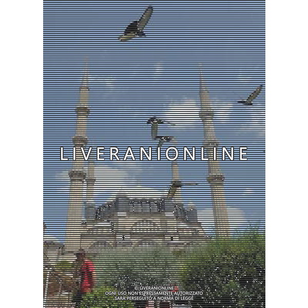 (110709) -- EDIRNE, July 9, 2011 -- The Selimiye Mosque Complex is seen in the photo taken in Edirne, Turkey, July 9, 2011. The Selimiye Mosque, an Ottoman mosque, was commissioned by Sultan Selim II and was built by architect Mimar Sinan in the 16th century. It was considered to be one of the highest achievements of Islamic architecture. The Selimiye Mosque and its Social Complex entered the List of World Heritage at the 35th session of UNESCO\'s World Heritage Committee in June 2011. Ma Yan) (wjd)