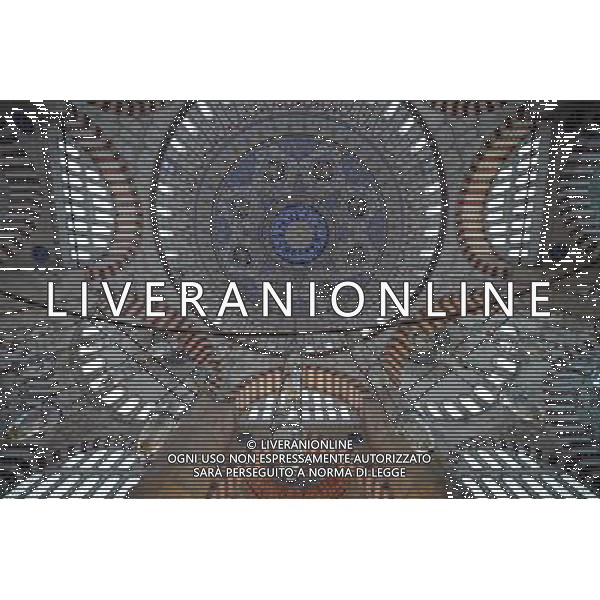 (110709) -- EDIRNE, July 9, 2011 -- The decorative pattern on the ceiling of the Selimiye Mosque Complex is seen in the photo taken in Edirne, Turkey, July 9, 2011. The Selimiye Mosque, an Ottoman mosque, was commissioned by Sultan Selim II and was built by architect Mimar Sinan in the 16th century. It was considered to be one of the highest achievements of Islamic architecture. The Selimiye Mosque and its Social Complex entered the List of World Heritage at the 35th session of UNESCO\'s World Heritage Committee in June 2011. Ma Yan) (wjd)