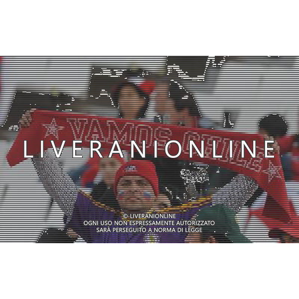 MENDOZA, July 12, 2011 A fan of Chile is seen before the match between Chile and Peru in the group stage of Copa America 2011, in Mendoza, Argentina, on July 12, 2011. (/Nicolas Celaya) (py)