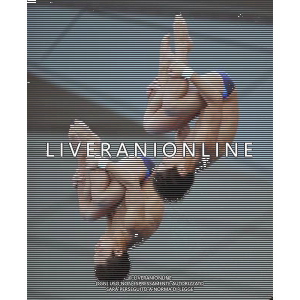 (110717) -- SHANGHAI, July 17, 2011 () -- Qiu Bo/Huo Liang (R) of China compete in the final of the men\'s 10m synchronized platform diving event at the 14th FINA World Championships in Shanghai, east China, July 17, 2011. Qiu Bo/Huo Liang of China claimed the title with 480.03 points. (/Yang Zongyou)(zgp)