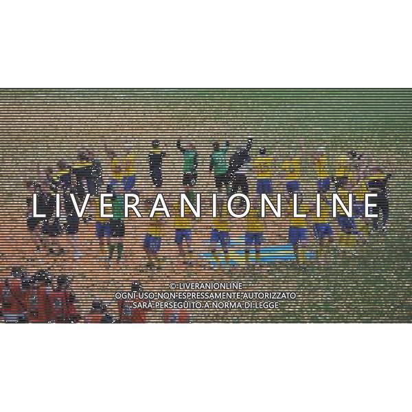 (110716) -- SINSHEIM, July 16, 2011 () -- Sweden\'s players celebrate during the awarding ceremony after the third place final match between Sweden and France at the 2011 FIFA Women\'s World Cup in Sinsheim, Germany, July 16, 2011. Sweden beat France 2-1 and claimed the third place of the 2011 FIFA Women\'s World Cup. (/Wu Wei) (zw)