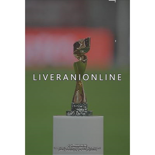 FRANKFURT, July 18, 2011 ()The Winner trophy is seen during the final match of the 2011 FIFA Women\'s World Cup between the US and Japan in Frankfurt, Germany, July 17, 2011. Japan won the 2011 FIFA Women\'s World Cup after beating the US on the penalty shootout. (/Li Jundong)