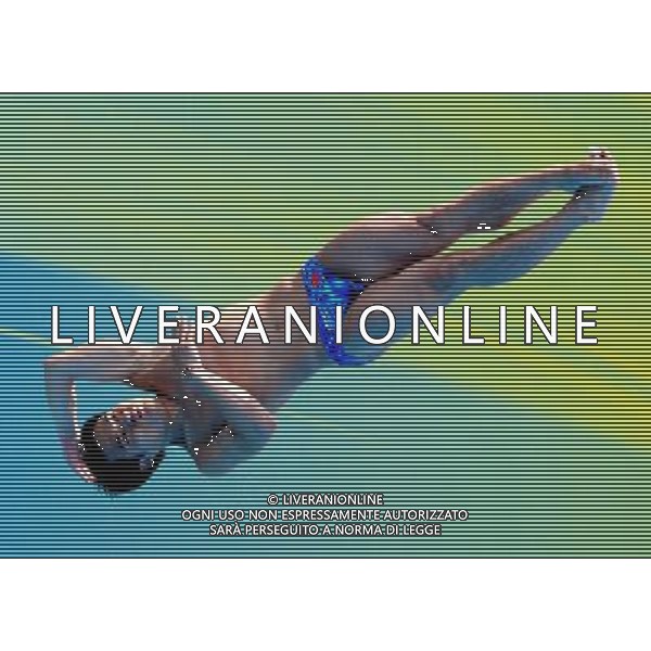 SHANGHAI, July 18, 2011 ()China\'s Li Shixin competes during the final of the men\'s 1m springboard diving event at the 14th FINA World Championships in Shanghai, east China, July 18, 2011. Li Shixin claimed the title with 463.90 points. (/Yang Lei) (lm)