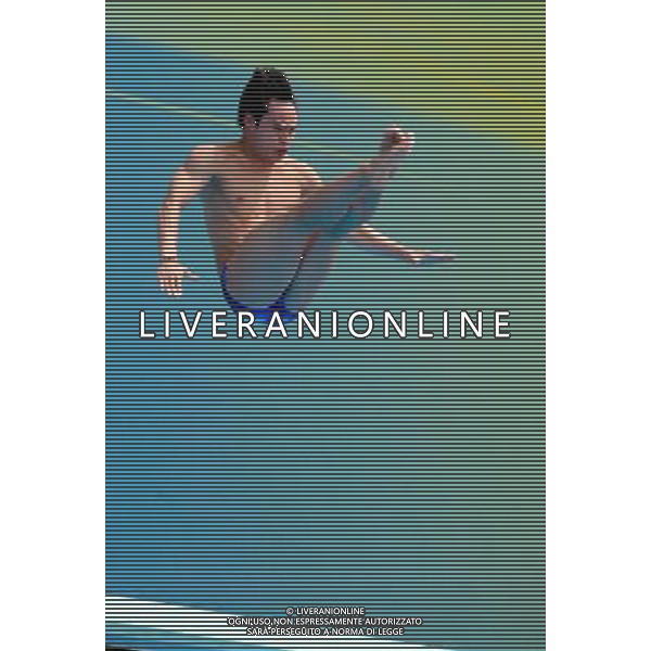 SHANGHAI, July 18, 2011 ()China\'s Li Shixin competes during the final of the men\'s 1m springboard diving event at the 14th FINA World Championships in Shanghai, east China, July 18, 2011. Li Shixin claimed the title with 463.90 points. (/Yang Lei) (lm)