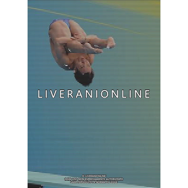 SHANGHAI, July 18, 2011 ()China\'s Li Shixin competes during the final of the men\'s 1m springboard diving event at the 14th FINA World Championships in Shanghai, east China, July 18, 2011. Li Shixin claimed the title with 463.90 points. (/Yang Lei) (lm)