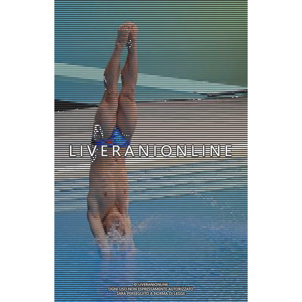 SHANGHAI, July 18, 2011 ()China\'s Li Shixin competes during the final of the men\'s 1m springboard diving event at the 14th FINA World Championships in Shanghai, east China, July 18, 2011. Li Shixin claimed the title with 463.90 points. (/Yang Lei) (lm)