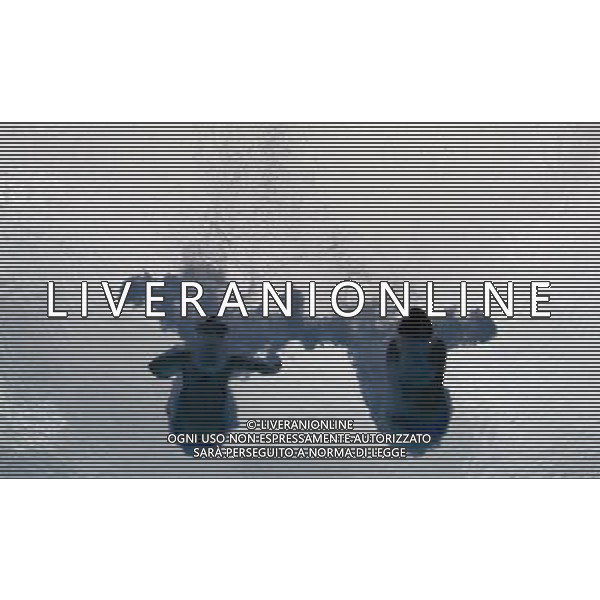 SHANGHAI, July 18, 2011 China\'s Wang Hao/Chen Ruolin (R) compete during the final of the women\'s 10m synchronized platform diving event at the 14th FINA World Championships in Shanghai, east China, July 18, 2011. Wang Hao/Chen Ruolin won the gold in the final with 362.58 points. (/Fei Maohua) (zgp)