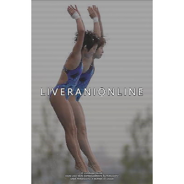 SHANGHAI, July 18, 2011 China\'s Wang Hao/Chen Ruolin (front) compete during the final of the women\'s 10m synchronized platform diving event at the 14th FINA World Championships in Shanghai, east China, July 18, 2011. Wang Hao/Chen Ruolin claimed the title with 362.58 points. (/Fan Jun) (lm)