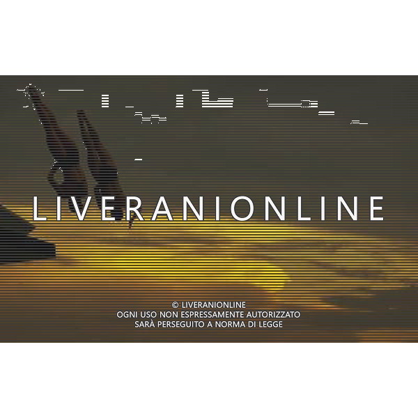 SHANGHAI, July 18, 2011 Alexandra Croak/Melissa Wu of Australia compete in the final of the women\'s 10m synchronized platform diving event at the 14th FINA World Championships in Shanghai, east China, July 18, 2011. Alexandra Croak/Melissa Wu of Australia grabbed the silver medal with 325.92 points. (/Fei Maohua)(zgp)