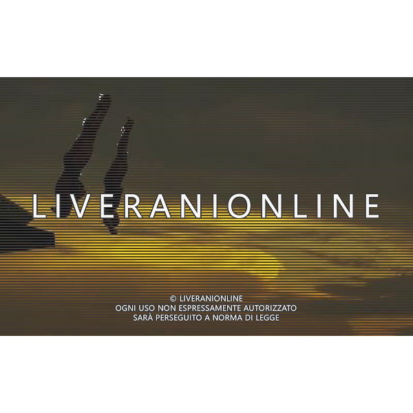 SHANGHAI, July 18, 2011 Alexandra Croak/Melissa Wu of Australia compete in the final of the women\'s 10m synchronized platform diving event at the 14th FINA World Championships in Shanghai, east China, July 18, 2011. Alexandra Croak/Melissa Wu of Australia grabbed the silver medal with 325.92 points. (/Fei Maohua)(zgp)