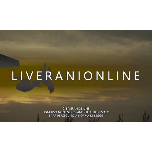 SHANGHAI, July 18, 2011 Choe Kum Hui/Kim Jim Ok of the Democratic People\'s Republic of Korea (DPRK) compete in the final of the women\'s 10m synchronized platform diving event at the 14th FINA World Championships in Shanghai, east China, July 18, 2011. (/Fei Maohua)(zgp)