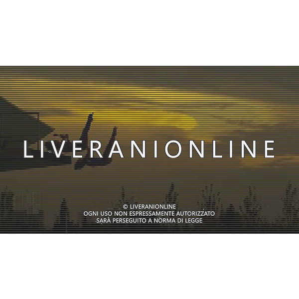 SHANGHAI, July 18, 2011 Wang Hao/Chen Ruolin (L) of China compete in the final of the women\'s 10m synchronized platform diving event at the 14th FINA World Championships in Shanghai, east China, July 18, 2011. Wang Hao/Chen Ruolin of China claimed the title with 362.58 points. (/Fei Maohua)(zgp)