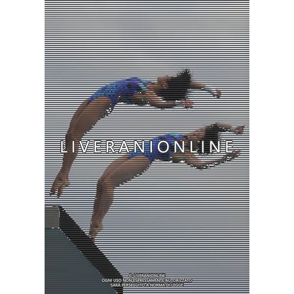 SHANGHAI, July 18, 2011 Wang Hao/Chen Ruolin (L) of China compete in the final of the women\'s 10m synchronized platform diving event at the 14th FINA World Championships in Shanghai, east China, July 18, 2011. Wang Hao/Chen Ruolin of China claimed the title with 362.58 points. (/Guo Yong)(zgp)