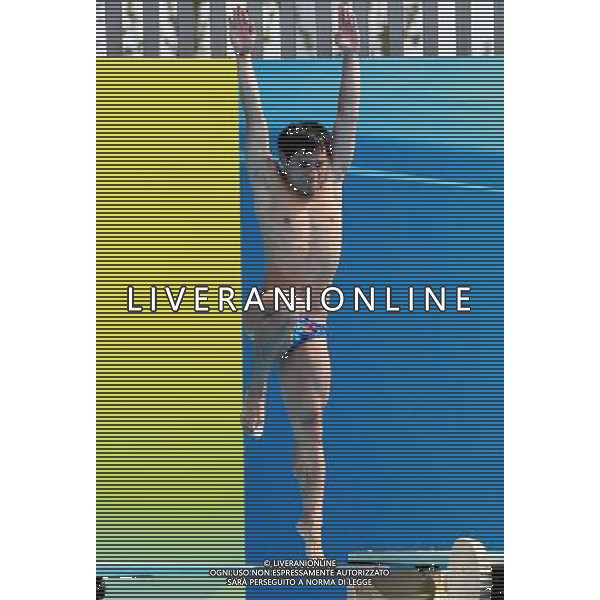 SHANGHAI, July 18, 2011 China\'s Li Shixin competes during the final of the men\'s 1m springboard diving event at the 14th FINA World Championships in Shanghai, east China, July 18, 2011. Li Shixin claimed the title with 463.90 points. (/Chen Fei) (lm)