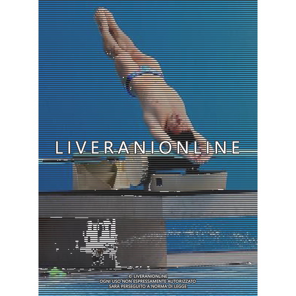 SHANGHAI, July 18, 2011 China\'s Li Shixin competes during the final of the men\'s 1m springboard diving event at the 14th FINA World Championships in Shanghai, east China, July 18, 2011. Li Shixin claimed the title with 463.90 points. (/Chen Fei) (lm)