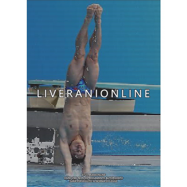 SHANGHAI, July 18, 2011 China\'s Li Shixin competes during the final of the men\'s 1m springboard diving event at the 14th FINA World Championships in Shanghai, east China, July 18, 2011. Li Shixin claimed the title with 463.90 points. (/Chen Fei) (lm)